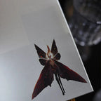 Night Dragon of Magic Resin 3D Book